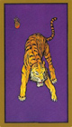 carte tigre